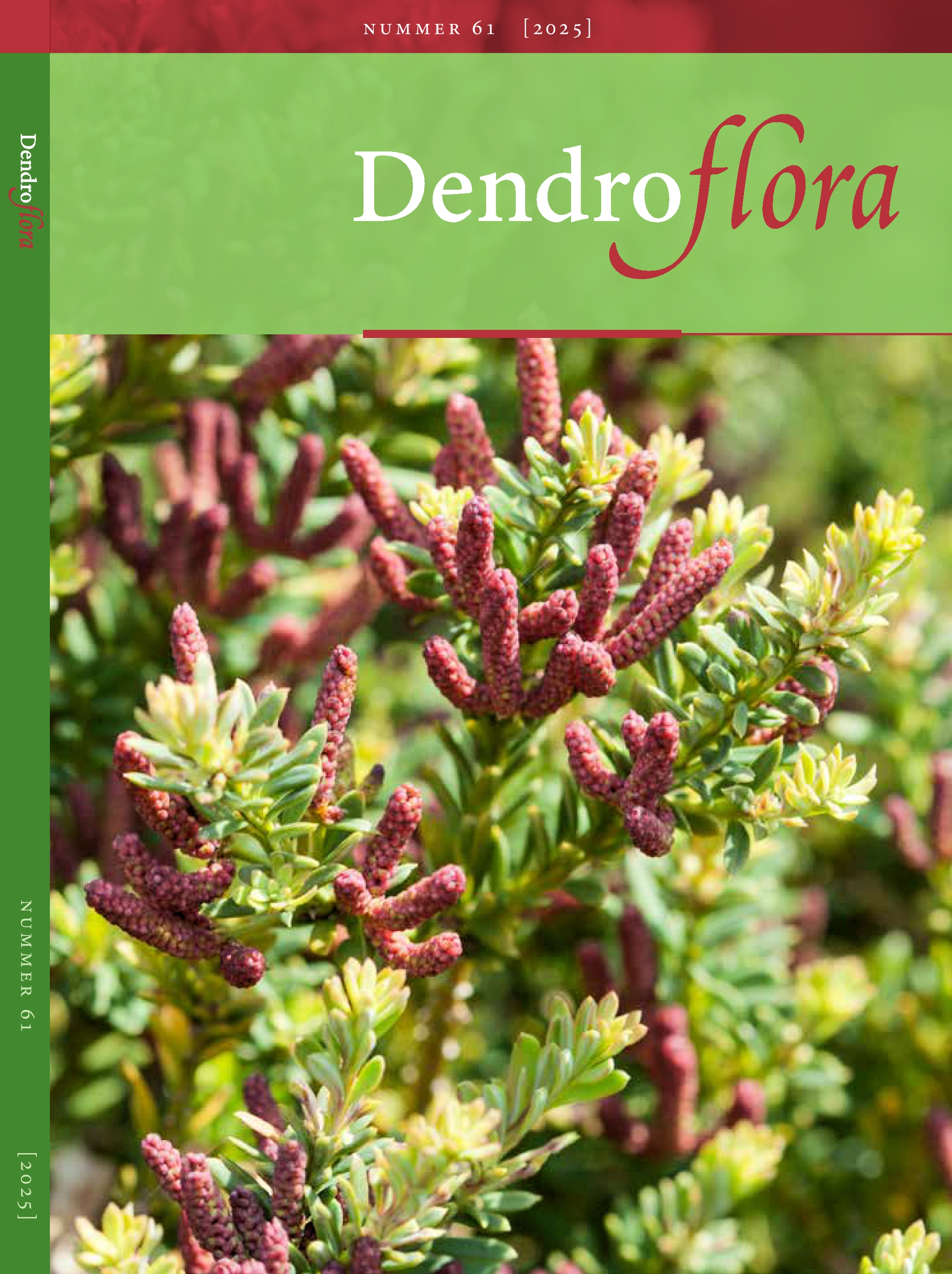 Dendroflora - dendrologisch jaarboek